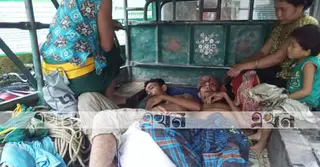 সাজেকে কীটনাশকে প্রস্তুত চা পান, ১২ জন অসুস্থ